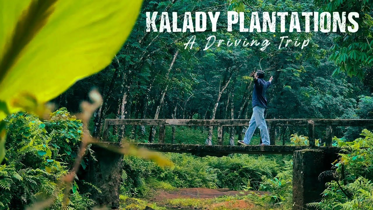 Kalady Plantation |Malayattoor to Athirapilly forest road |Road trip