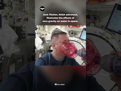 NASA astronaut Jack