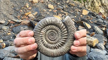 Fossil Hunter Finds Landslide FULL Of Fossils!