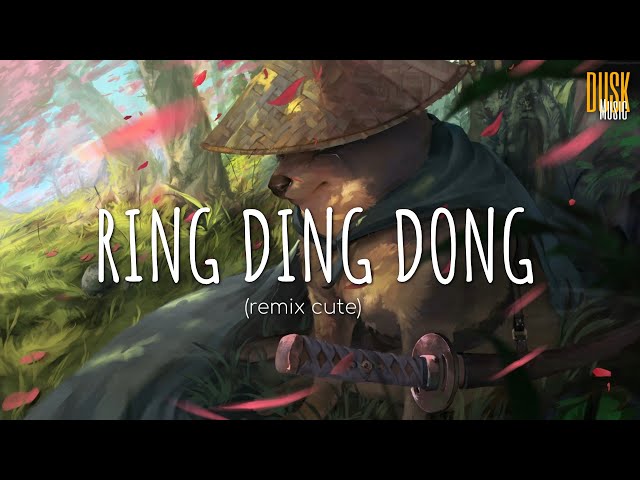 Ring Ding Dong (remix cute) - Wan Gombel // (Vietsub + Lyric) Tik Tok Song class=