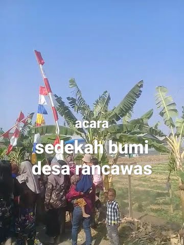 acara sedekah bumi desa rancawas