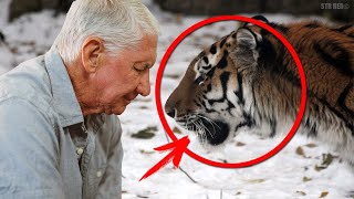 La reacción inesperada del tigre al separarse de su cuidador, te hará llorar...