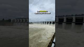 Gangrel Dam Gangreldam