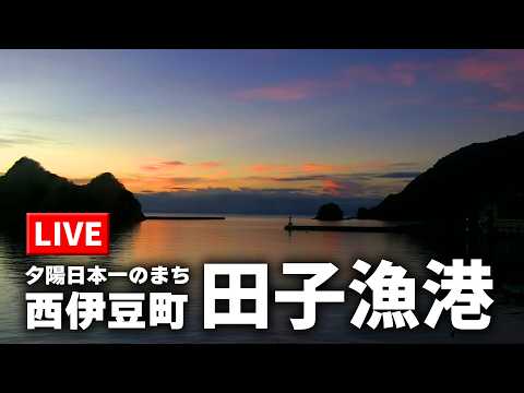 田子漁港(西伊豆町) のライブ映像