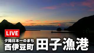 田子漁港(西伊豆町) のライブ映像