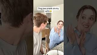 Funny Small Power Tugs Between Cats & Pups 🧠 #Shorts #Dogs #Viral #Cute #Funny
