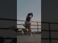 حالة حب واتس آب راغب علامة بحبك واشتقتلك  mp3