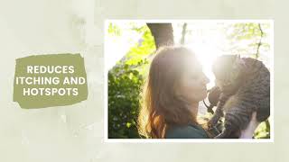 Soothing Solutions Itch Relief Liquid For Happy Pets Animigo