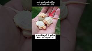 भगवन वषण करम अवतरण