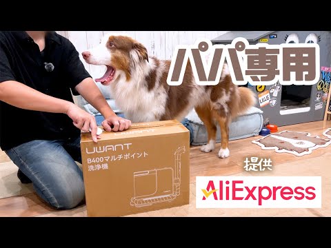 【アリエク】愛犬達がよく休憩しているお気に入りのソファを洗浄してみました💡✨【ボーダーコリー×オーストラリアンシェパード】