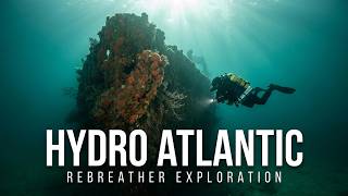 Deep Benthic Life Colony at Shipwreck in Florida Coast