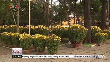 Vỉa hè TP.HCM "mở lòng" đón Tết VTV24