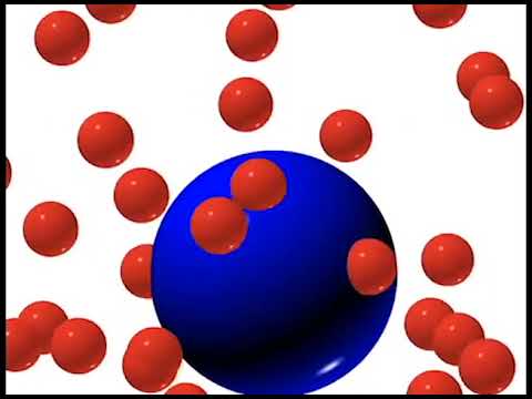 A&P I Lab | Exercise 3b: Brownian Motion - YouTube