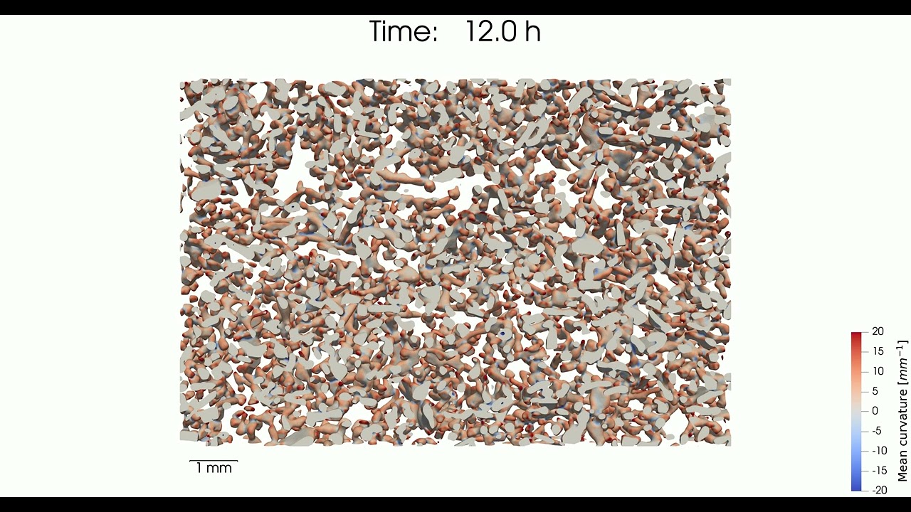 Light rounded grains submitted to 40 K m⁻¹ at -8°C