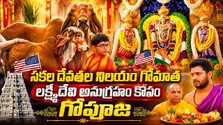 లక్ష్మీదేవి అనుగ్రహం కోసం గోపూజ | Shatha Rudra Chandi Yagam At Hindu Temple Of St Louis | Sumantv