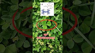 Kimya ben seni düşünmek istemesemde bana her şey seni hatırlatıyor #yks