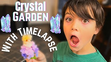 Crystal Garden Experiment with Timelapse