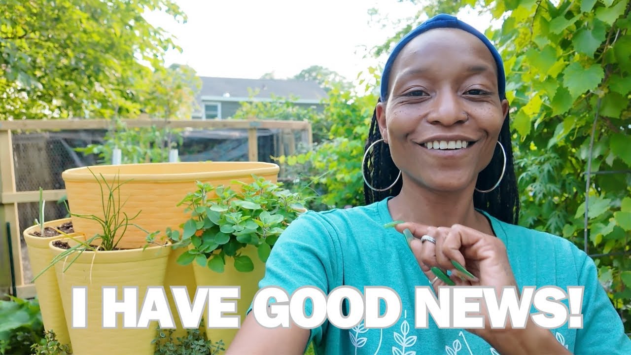 Vertical Gardening | What's Growing in My Greenstalks? | Greenstalk Garden Tour | (Thank you!)