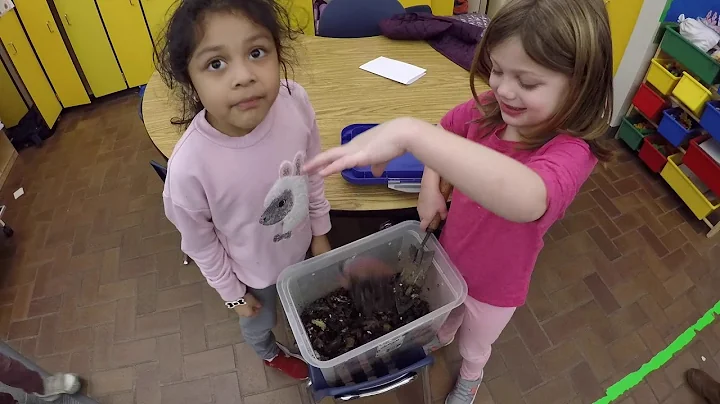 Growing a Better Future Through Composting