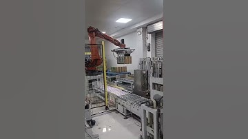 Automated Tape Box carton case erector sealer and robotic palletizer robot palletizer system#robot