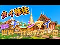 【タイ移住】意外と知らない、実はチェンマイは世界一住みやすい街⁉長期滞在のチェンマイの魅力を紹介！タイ旅行、バンコク、パタヤ、プーケット