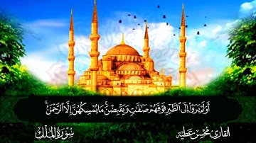 سورة الملك القارئ محسن عطية