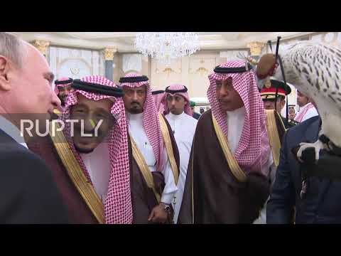 Saudi Arabia: Putin presents King Salman with Arctic falcon