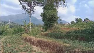 story wa pemandangan gunung wangun di siang hari yang cerah