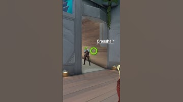 Focus on Target or Crosshair?