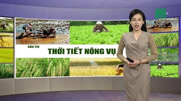 Thời tiết Nông vụ ngày 12/12/2020 | VTC14