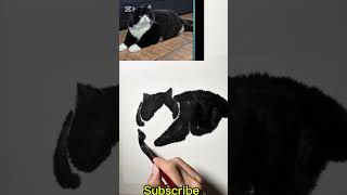 How To Copy A Cat Photo