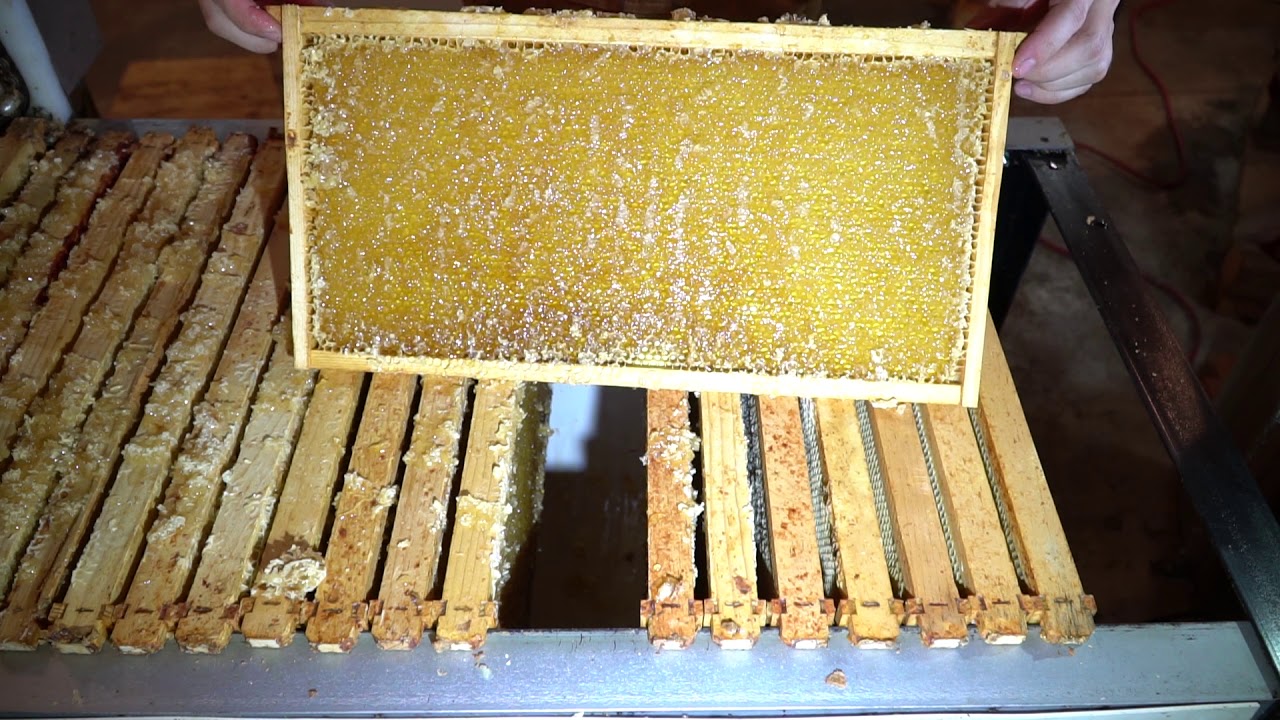 How Do I Extract Honey? A quick tour YouTube
