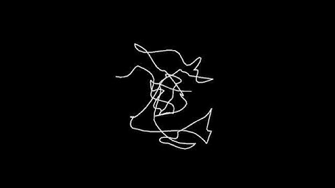 Random Lines: Exploring the Beauty of Unexpected Drawings