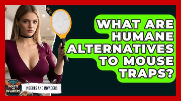 What Are Humane Alternatives To Mouse Traps? - Insects and Invaders