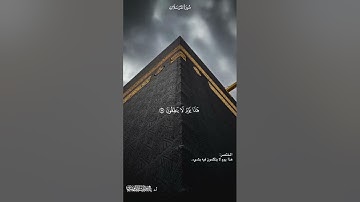 تلاوة من سورة المرسلات ، الشيخ ياسر الدوسري