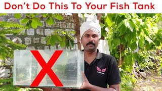 Top 5 Mistakes on setting up a Fish tank - Don't do this to your fish tank