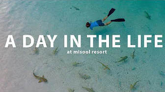 Day in the Life at Misool Resort