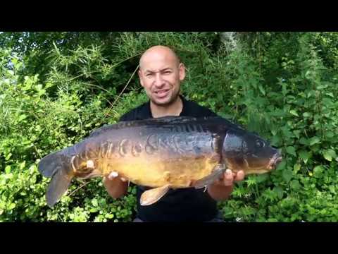 Episode 3: Bank Time - Jay Taylor Carp Fishing Blog - New Forest Carp Fishing