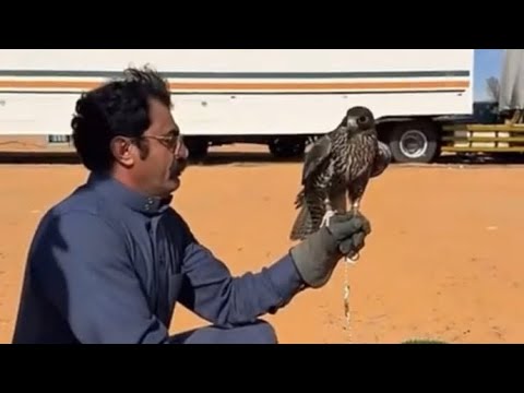 ابو سعود رجع بعد شهر غياب طراد الخالدي