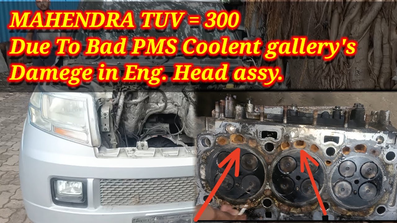 Bad Pms Meaning Bad Pms Meaning