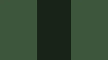 11 June 2025 