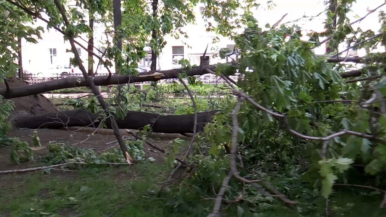 Ураган в москве вчера. Ураган май 2017 Москва. Ураган в Москве 29 мая 2017 года. Ураган в Москве 2001. Москва август 2017 ураган.