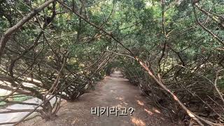 벽초지수목원 사진 산책