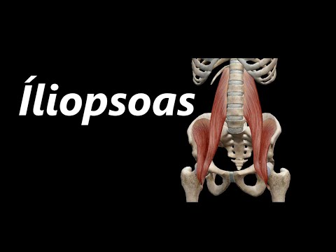 Vídeo: Origem, Função E Anatomia Do Músculo Ilíaco Mapas Do Corpo