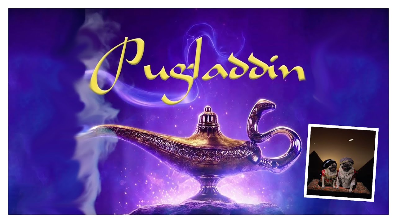 Aladdin - Doug The Pug