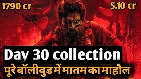 pushpa 2 day 30 collection | pushpa 2 box office | allu arjun | salman | sunny | singham | ajay |