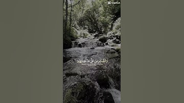 القرآن الكريم #القرآن_الكريم #إطمئن #اكسبلور #quran #duet #قراءة_خاشعة #تيك_توك #راحة_نفسية #تلاوة