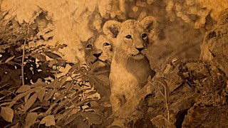 Ma douce jumelle. Mais que dois-je faire en cas de monoparentalité ? [Safari Afrique plus ⁺] 170