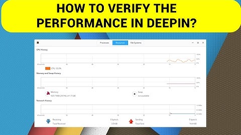 HOW TO VERIFY THE  PERFORMANCE IN DEEPIN?