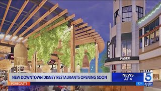 Disney announces new additions coming to Downtown Disney